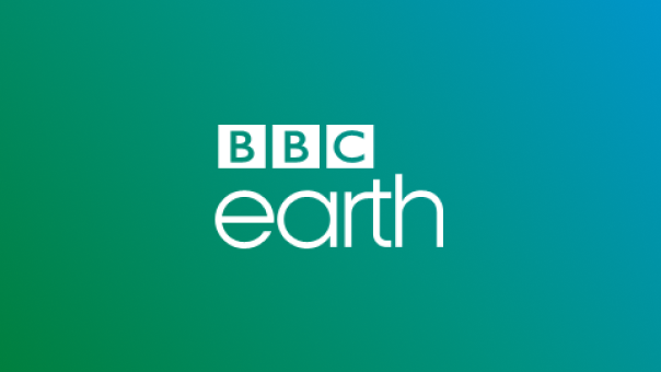 BBC Earth | Channels | BBC Africa